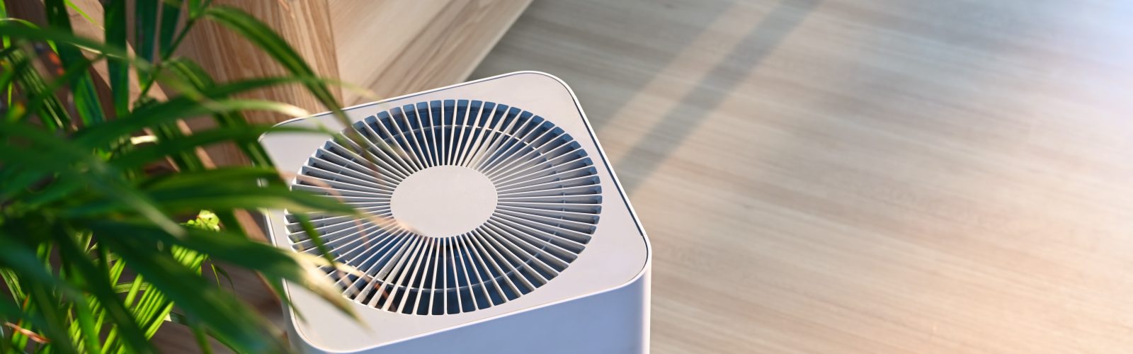 air purifier